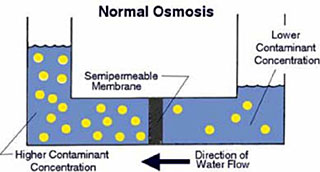 Normal-Osmosis